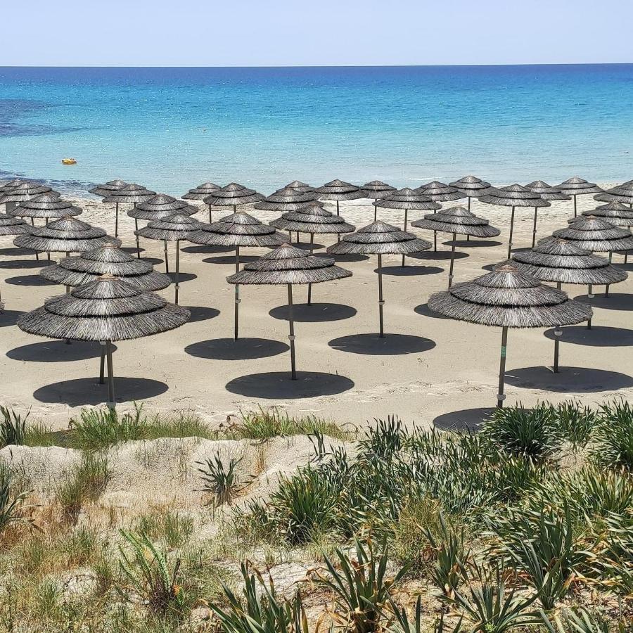 Narcissos Nissi Beach Apartment C16 圣纳帕 外观 照片